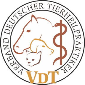 logo_vdt_weiss.gif
